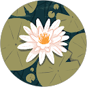 かあ profile picture