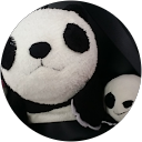 pandako profile picture