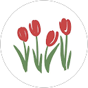 churip profile picture