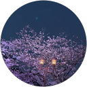 minami profile picture