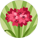千mi profile picture