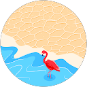 もも profile picture