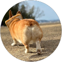 にゃん profile picture